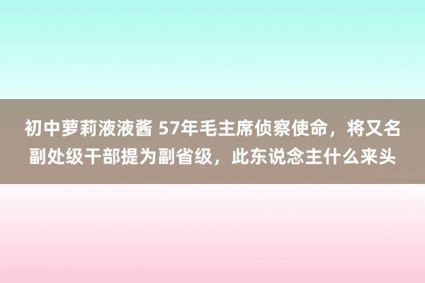 初中萝莉液液酱 57年毛主席侦察使命，将又名副处级干部提为副省级，此东说念主什么来头