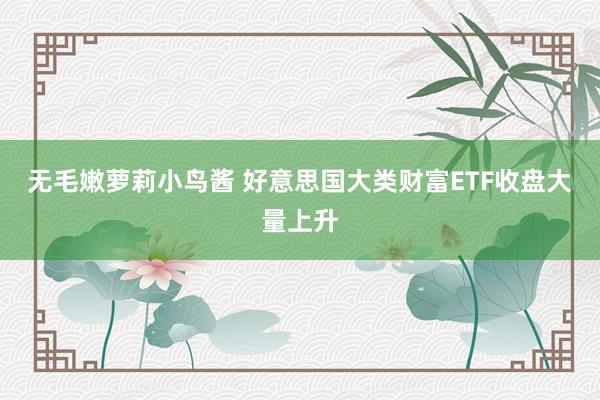 无毛嫩萝莉小鸟酱 好意思国大类财富ETF收盘大量上升