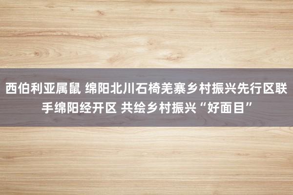 西伯利亚属鼠 绵阳北川石椅羌寨乡村振兴先行区联手绵阳经开区 共绘乡村振兴“好面目”