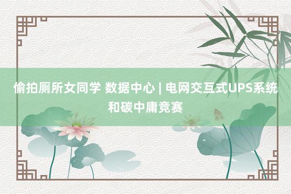 偷拍厕所女同学 数据中心 | 电网交互式UPS系统和碳中庸竞赛