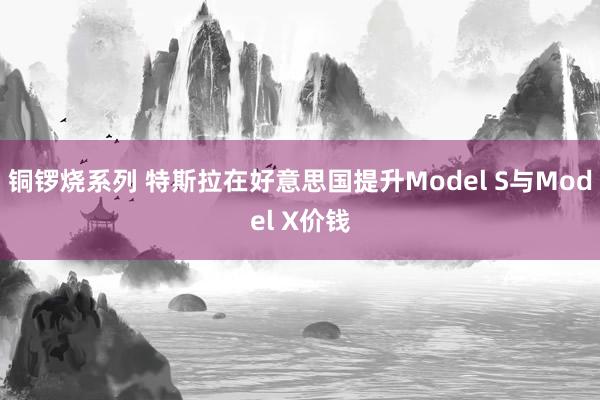 铜锣烧系列 特斯拉在好意思国提升Model S与Model X价钱