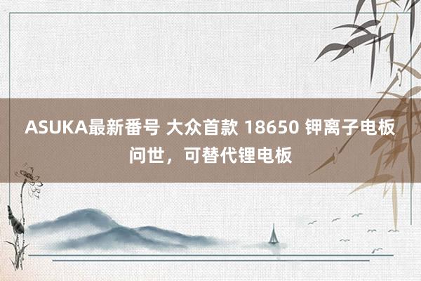 ASUKA最新番号 大众首款 18650 钾离子电板问世，可替代锂电板