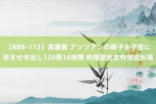 【RBB-113】高画質 アッツアツの精子を子宮に孕ませ中出し120発16時間 热辣蕾丝女怜悯欲纠葛