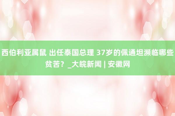 西伯利亚属鼠 出任泰国总理 37岁的佩通坦濒临哪些贫苦？_大皖新闻 | 安徽网