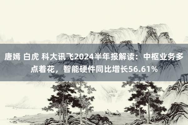 唐嫣 白虎 科大讯飞2024半年报解读：中枢业务多点着花，智能硬件同比增长56.61%