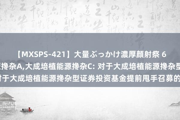 【MXSPS-421】大量ぶっかけ濃厚顔射祭 60人5時間 大成培植能源搀杂A，大成培植能源搀杂C: 对于大成培植能源搀杂型证券投资基金提前甩手召募的公告