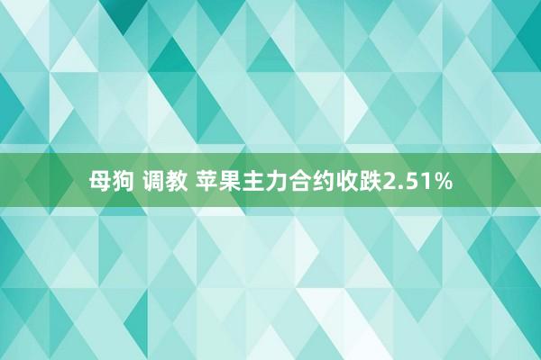 母狗 调教 苹果主力合约收跌2.51%