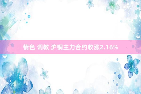 情色 调教 沪铜主力合约收涨2.16%