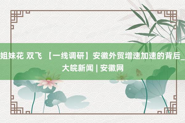 姐妹花 双飞 【一线调研】安徽外贸增速加速的背后_大皖新闻 | 安徽网