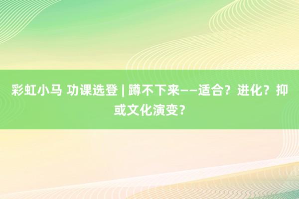 彩虹小马 功课选登 | 蹲不下来——适合？进化？抑或文化演变？